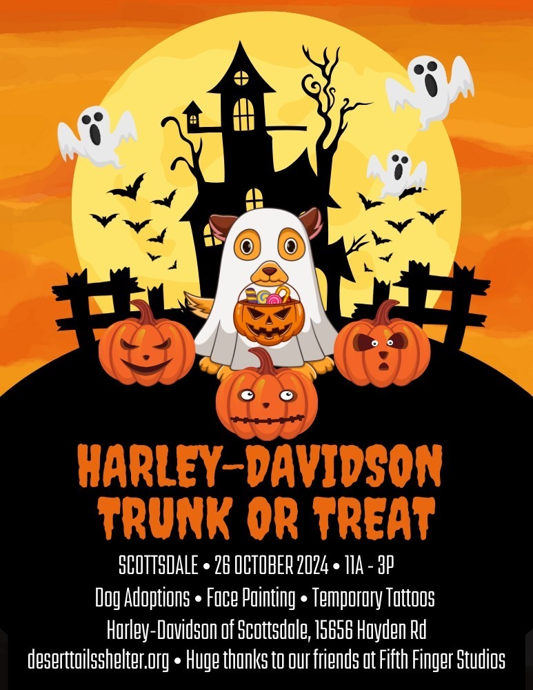 flyer for Trunk or Treat event at Harley Davidson of Scottsdale text: Harley-Davidson Trunk or Treat Scottsdale 26 October 2024 11a-3p dog adoptions face painting temporary tattoos Harley-Davidson of Scottsdale 15656 Hayden Rd deserttailsshelter.org Huge thanks to our friends at Fifth Finger Studios