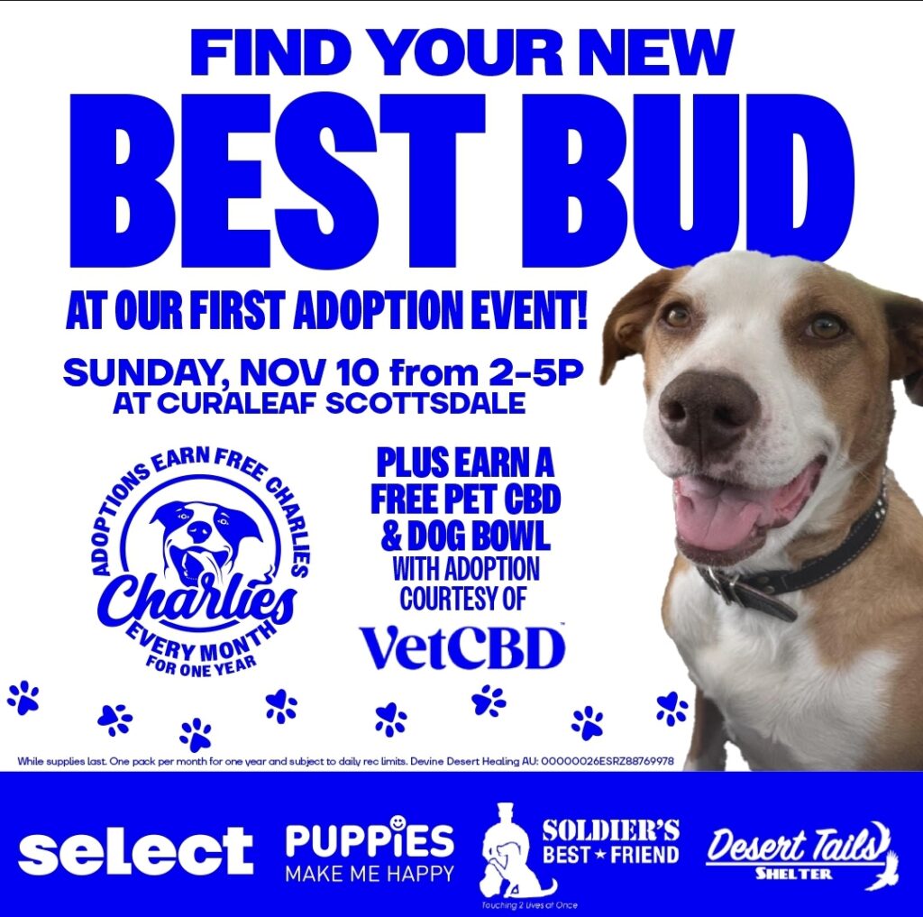 Flyer for event. Text: Find your new best bud at our first adoption event. Sunday, Nov. 10 from 2-5p at Curaleaf Scottsdale. Plus earn a free pet CBD & dog bowl with adoption courtesy of VetCBD. While supplies last. One pack per month for one year and subject to daily rec limits. AU: 00000026ESRZ88769978 Select Puppies Make Me Happy, Soldier's Best Friend, Desert Tails Shelter