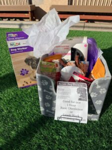 Dog Training Basket: one hour session for basic obedience or leash work with a dog trainer (trainers are located in the Greater Phoenix Area), plus assorted dog toys and treats