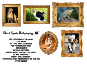Dog photography session